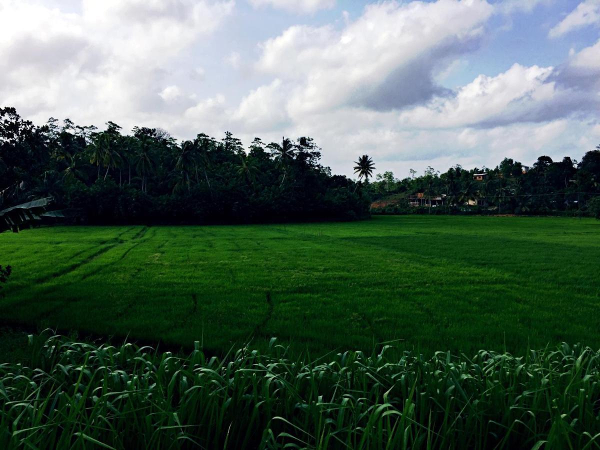 Thaaaru Villa Mirissa Ngoại thất bức ảnh
