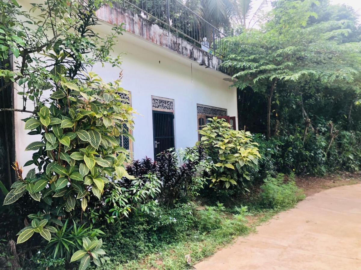 Thaaaru Villa Mirissa Ngoại thất bức ảnh